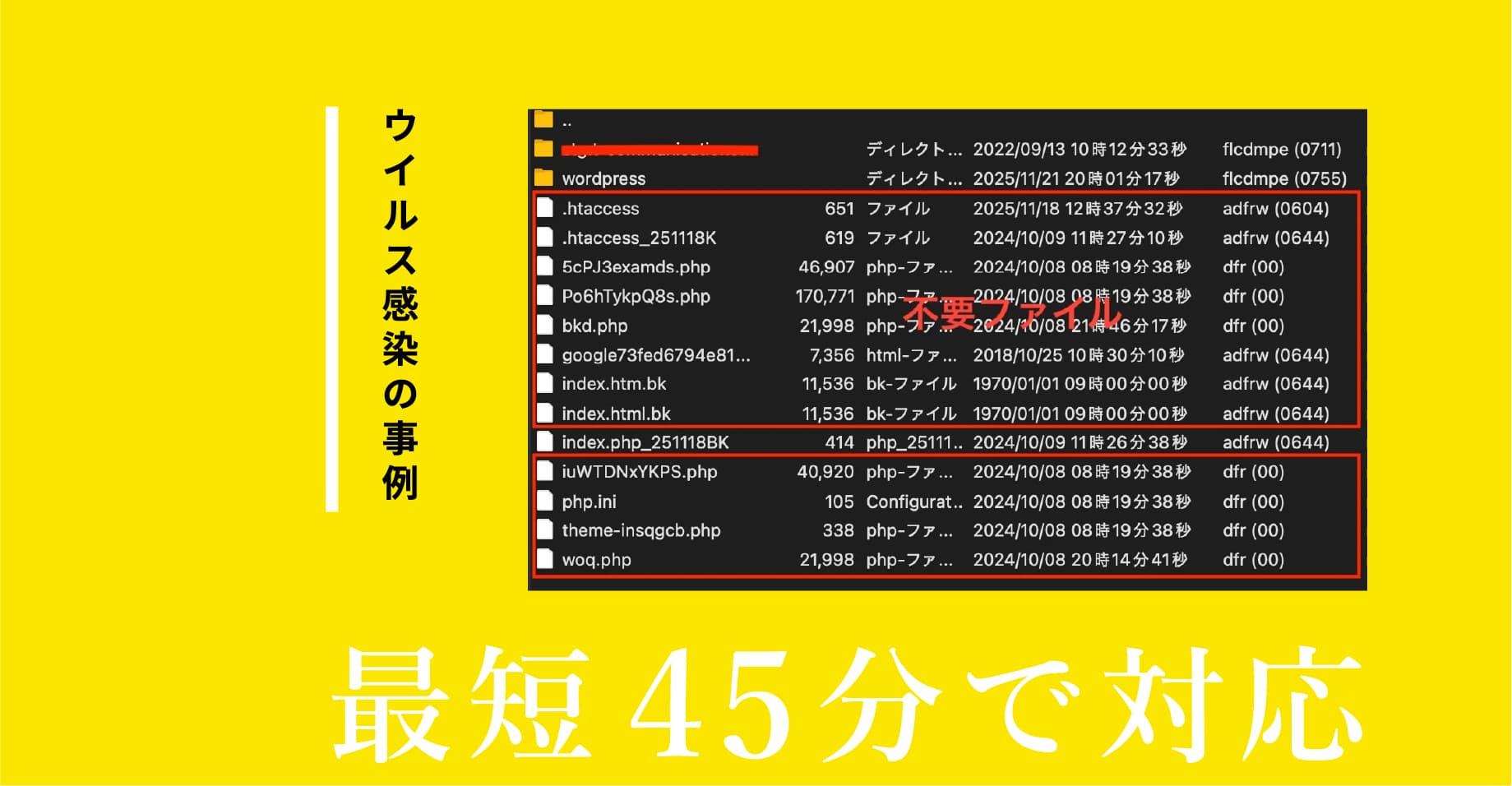 ウイルス感染の事例